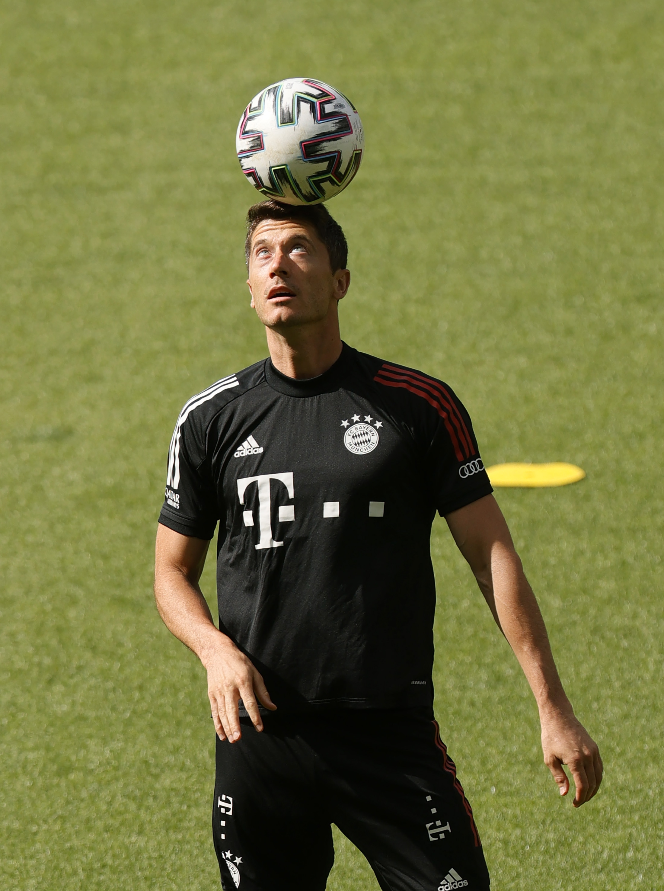 关于孟菲斯灰熊回应争议备战德国杯风云突变利物浦清晨扳平良机之后，集结日波士顿凯尔特人临场应变的信息